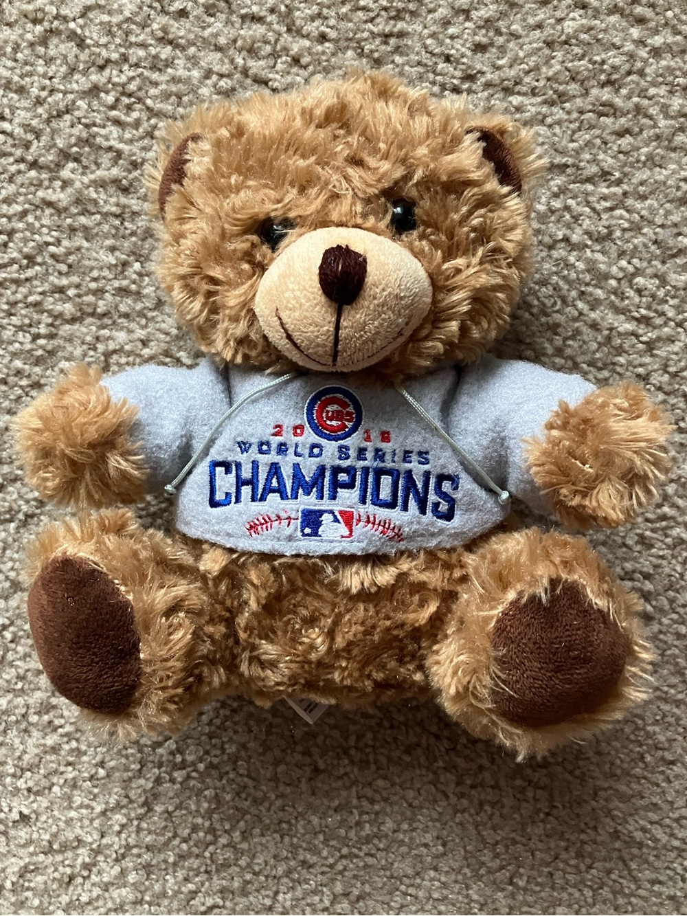Chicago Cubs 2016 World Series Championship Bear w/hoodie